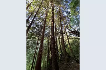 000 Old Wagon, Coos Bay, OR 97420 - Photo 31