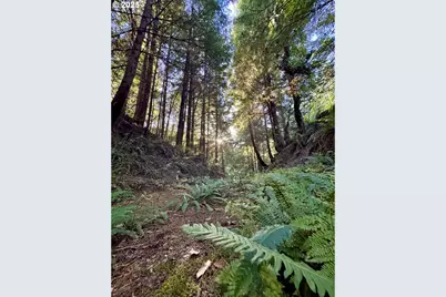 000 Old Wagon, Coos Bay, OR 97420 - Photo 25