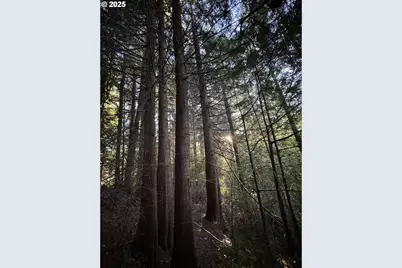 000 Old Wagon, Coos Bay, OR 97420 - Photo 21