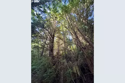 000 Old Wagon, Coos Bay, OR 97420 - Photo 29