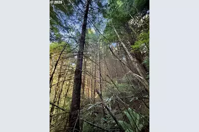 000 Old Wagon, Coos Bay, OR 97420 - Photo 33