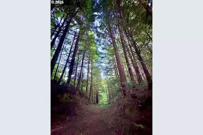 000 Old Wagon, Coos Bay, OR 97420 - Photo 27