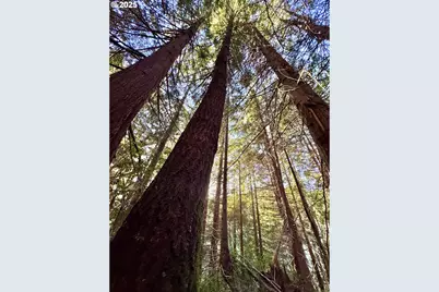 000 Old Wagon, Coos Bay, OR 97420 - Photo 17