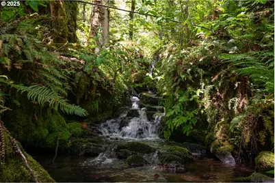 77690 Brock Rd, Oakridge, OR 97463 - Photo 15