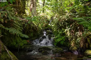 77690 Brock Rd, Oakridge, OR 97463 - Photo 15