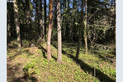 W Roberts Rd #6800, Oakridge, OR 97463 - Photo 1