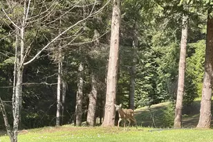 58813 Garden Valley Rd, Coquille, OR 97423 - Photo 35