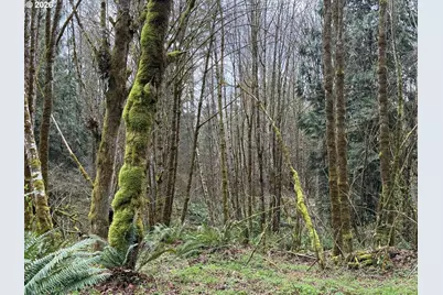 Tide Creek Rd, Rainier, OR 97048 - Photo 9
