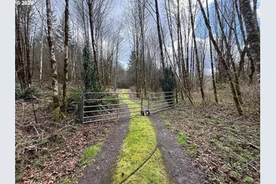Tide Creek Rd, Rainier, OR 97048 - Photo 3