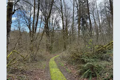 Tide Creek Rd, Rainier, OR 97048 - Photo 5