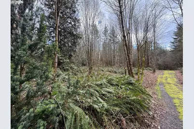 Tide Creek Rd, Rainier, OR 97048 - Photo 7
