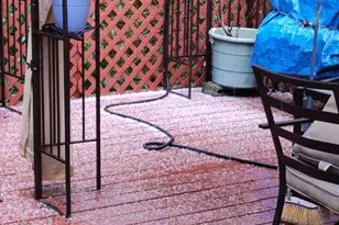 98825 Pleasant Hill Dr, Brookings, OR 97415 - Photo 23