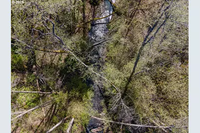 1910 Proctor Rd, Mosier, OR 97040 - Photo 41