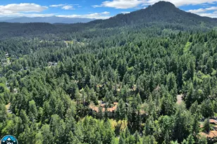 143 Treehill Loop, Eugene, OR 97405 - Photo 43