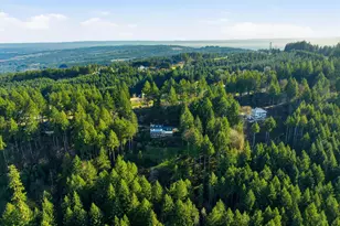 25445 NE Bald Peak Rd, Hillsboro, OR 97123 - Photo 39