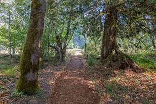 288 Baker Rd, Randle, WA 98377 - Photo 47