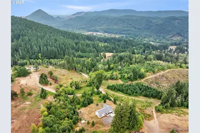 28024 NE 433rd St, Amboy, WA 98601 - Photo 3