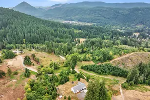 28024 NE 433rd St, Amboy, WA 98601 - Photo 3