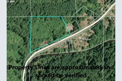 16807 Highway 36, Deadwood, OR 97430 - Photo 19