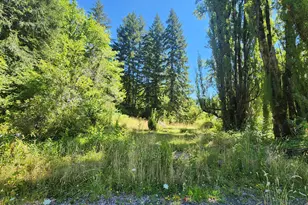 16807 Hwy 36, Deadwood, OR 97430 - Photo 17