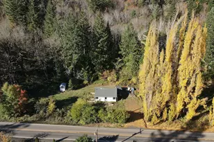 16807 Hwy 36, Deadwood, OR 97430 - Photo 11