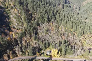 16807 Hwy 36, Deadwood, OR 97430 - Photo 9