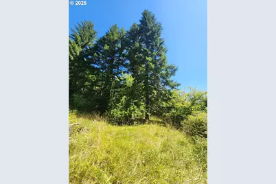 16807 Highway 36, Deadwood, OR 97430 - Photo 15