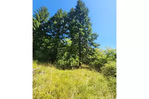 16807 Hwy 36, Deadwood, OR 97430 - Photo 15