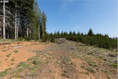0 Conyers Creek, Clatskanie, OR 97016 - Photo 5