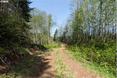 0 Conyers Creek, Clatskanie, OR 97016 - Photo 13