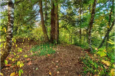 52 Fredrickson Ave, Carson, WA 98610 - Photo 15