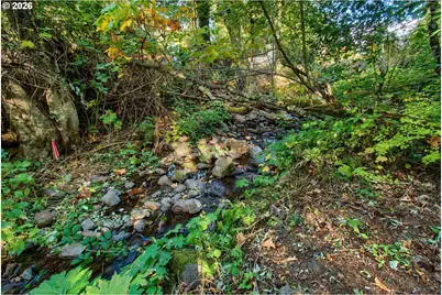 52 Fredrickson Ave, Carson, WA 98610 - Photo 17