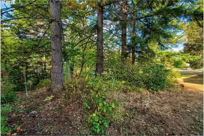 52 Fredrickson Ave, Carson, WA 98610 - Photo 11