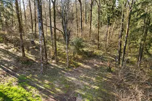 NE Sumac Ct, Brush Prairie, WA 98606 - Photo 1