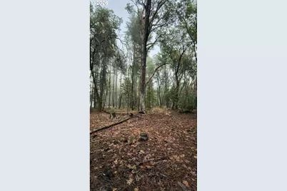 2100 Saratoga Way, Grants Pass, OR 97526 - Photo 21