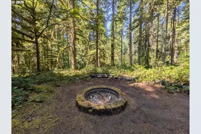 75192 E Rd 28A Lot 5, Rhododendron, OR 97049 - Photo 31