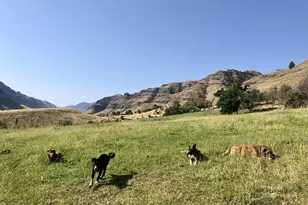 73720 Indian Creek Rd, Imnaha, OR 97842 - Photo 25