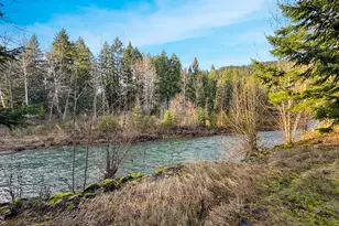 115 1st Ave, Randle, WA 98377 - Photo 3