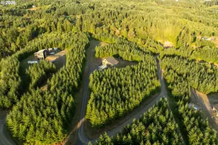 214 Bootjack Ln, Kelso, WA 98626 - Photo 39