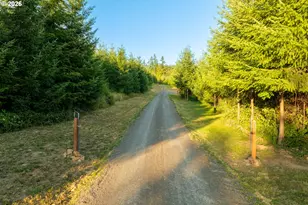 214 Bootjack Ln, Kelso, WA 98626 - Photo 43