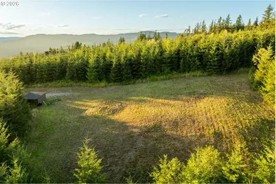 214 Bootjack Ln, Kelso, WA 98626 - Photo 45