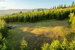 214 Bootjack Ln, Kelso, WA 98626 - Photo 45