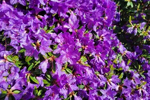 160 SW 59th St, South Beach, OR 97366 - Photo 35