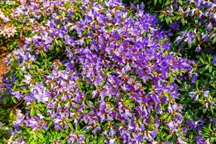 160 SW 59th St, South Beach, OR 97366 - Photo 33