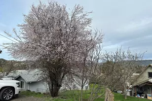 1387 NW Grove St, Roseburg, OR 97471 - Photo 5