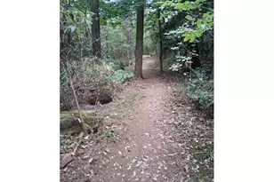 3517 NE 102nd Ct, Vancouver, WA 98662 - Photo 41