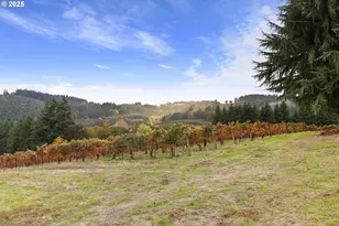 9325 NE Worden Hill Rd, Dundee, OR 97115 - Photo 45