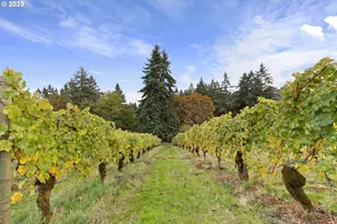 9325 NE Worden Hill Rd, Dundee, OR 97115 - Photo 43