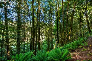 39383 NW Maller Ln, Banks, OR 97106 - Photo 43