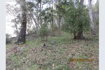 0 Melon Ln, Roseburg, OR 97471 - Photo 15